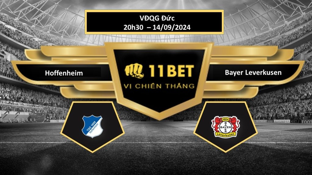 11BET Tip bóng đá Hoffenheim vs Bayer Leverkusen, hôm nay 14/09/2024